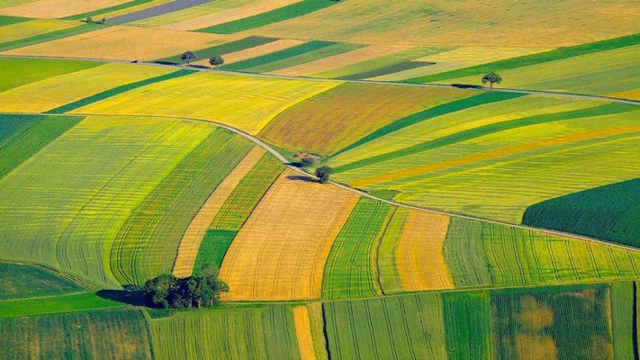 پایش ماهوارهای